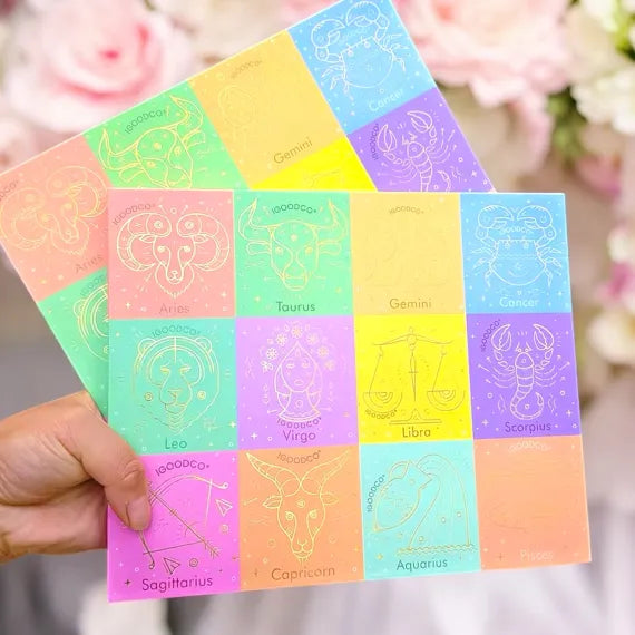 Paleta Fard IGOODCO 48 Culori Trusa Machiaj Ochi Profesionala