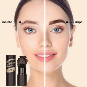 Pudra Sprancene Ushas 351 Kit Complet cu Sablon si Pensule Modelare Precisa